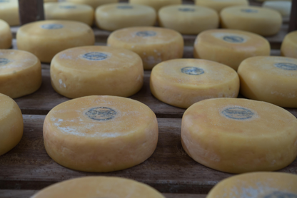 Queijo Canastra Curado