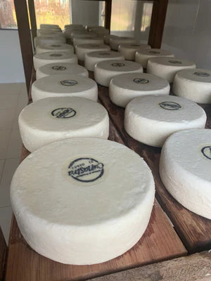 Queijo Fresco